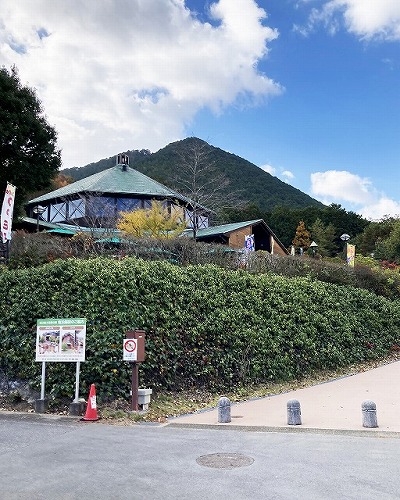 森林のカフェGONの郷 またほこゆった。