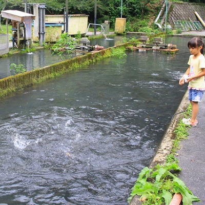 醒井養鱒場