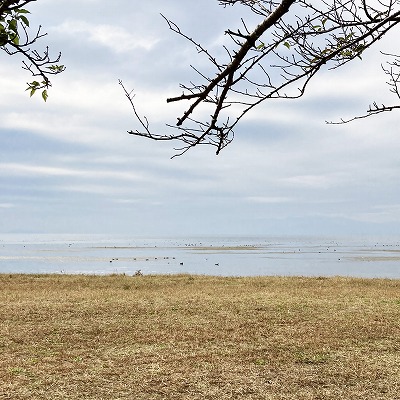 豊公園と長浜城歴史博物館