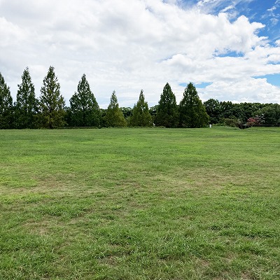 矢橋帰帆島公園