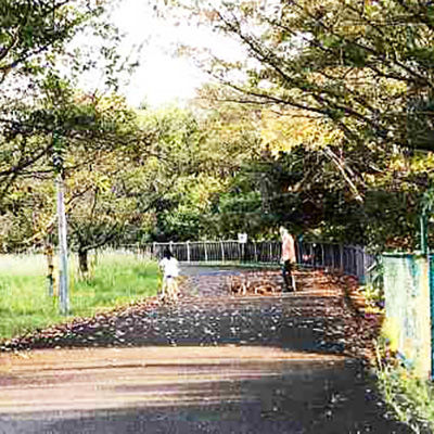 矢橋帰帆島公園