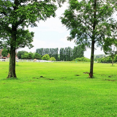 滋賀農業公園ブルーメの丘