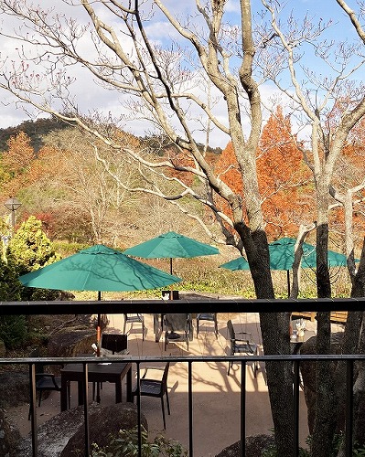 森林のカフェGONの郷 またほこゆった。