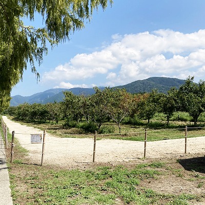 高島市農業公園マキノピックランド