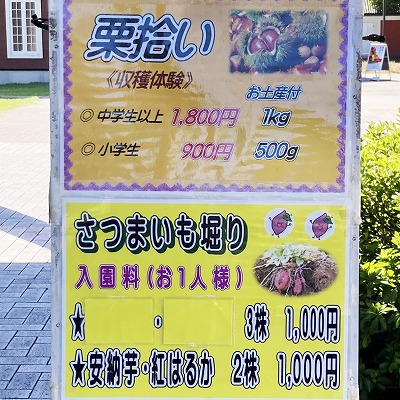 高島市農業公園マキノピックランド