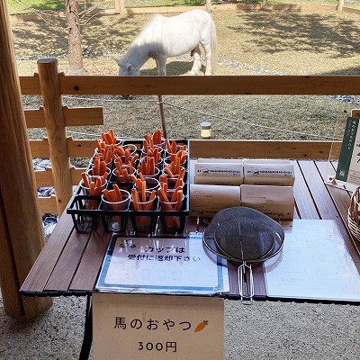 メタセコイアと馬の森