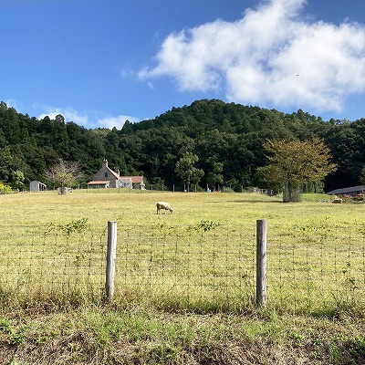 ローザンベリー多和田