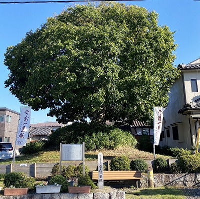 旧中山道・徒歩マップ（草津から野洲）