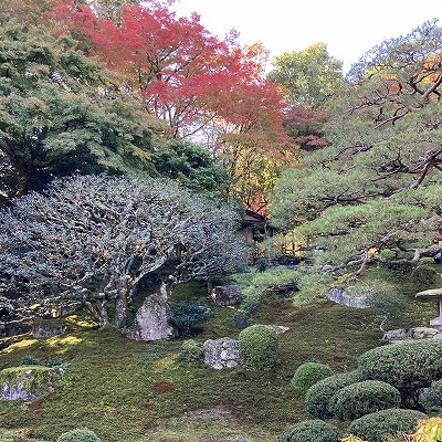 旧竹林院