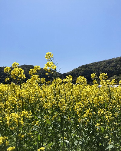 大中グリーン工房
