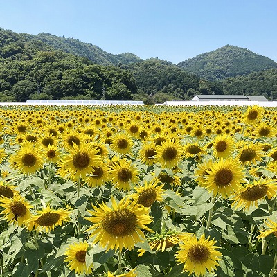 大中グリーン工房