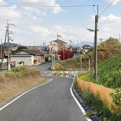 草津宿 追分道標から草津の名木イロハモミジへの行き方