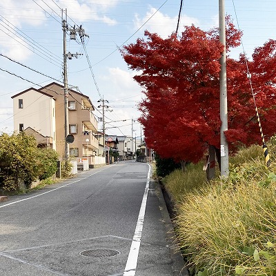 草津宿 追分道標から草津の名木イロハモミジへの行き方