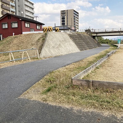 草津宿 追分道標から草津の名木イロハモミジへの行き方