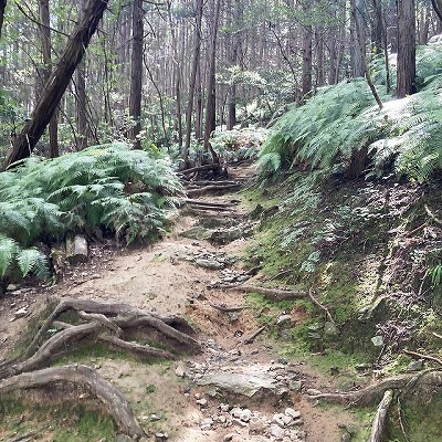 三上山 表登山道入口から山頂への行き方