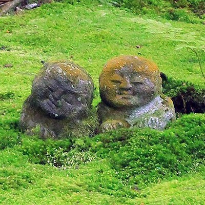 京都大原三千院