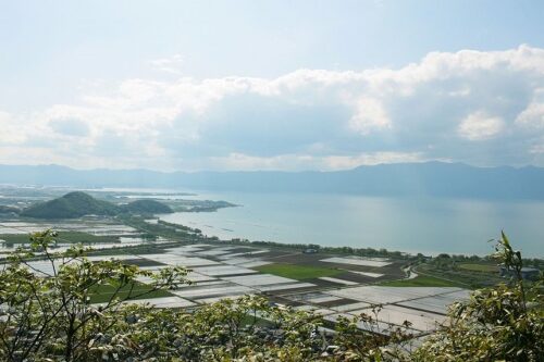 【八幡山】徒歩片道30分で山頂へ行ける、ハイキング気分の登山